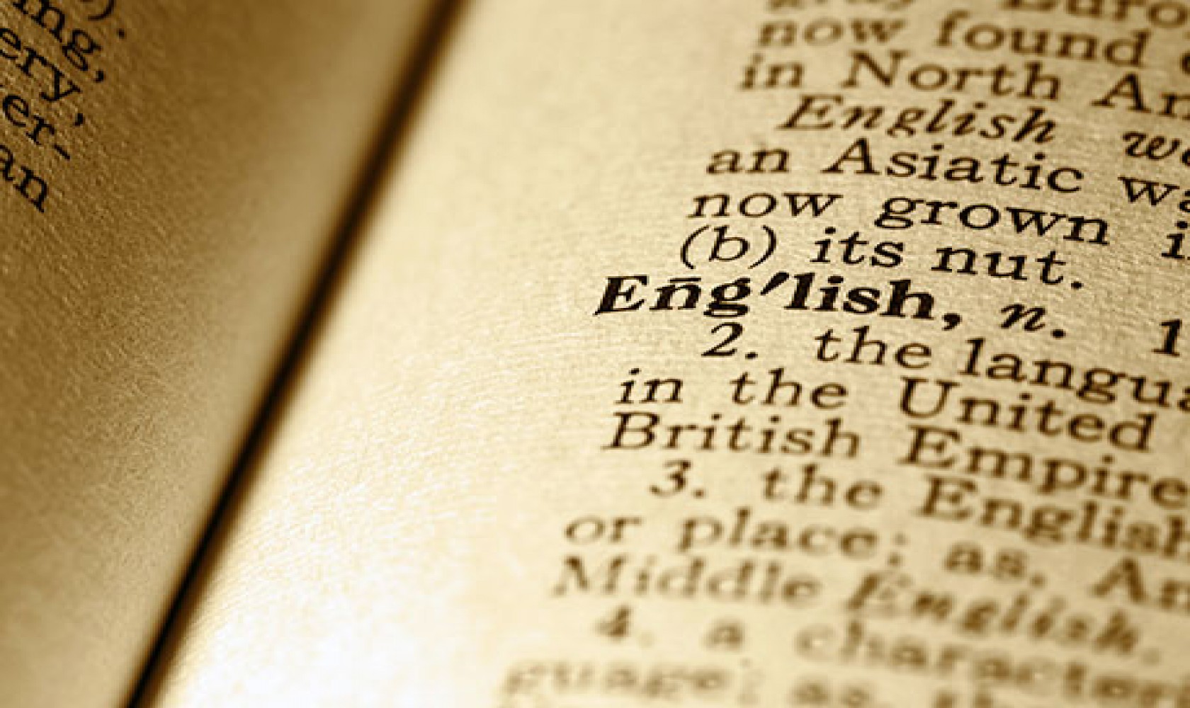 English Language is a West Germanic language that was first spoken in early medieval England and is now a global lingua franca.